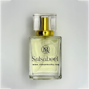 Salsabeel 2 300x300